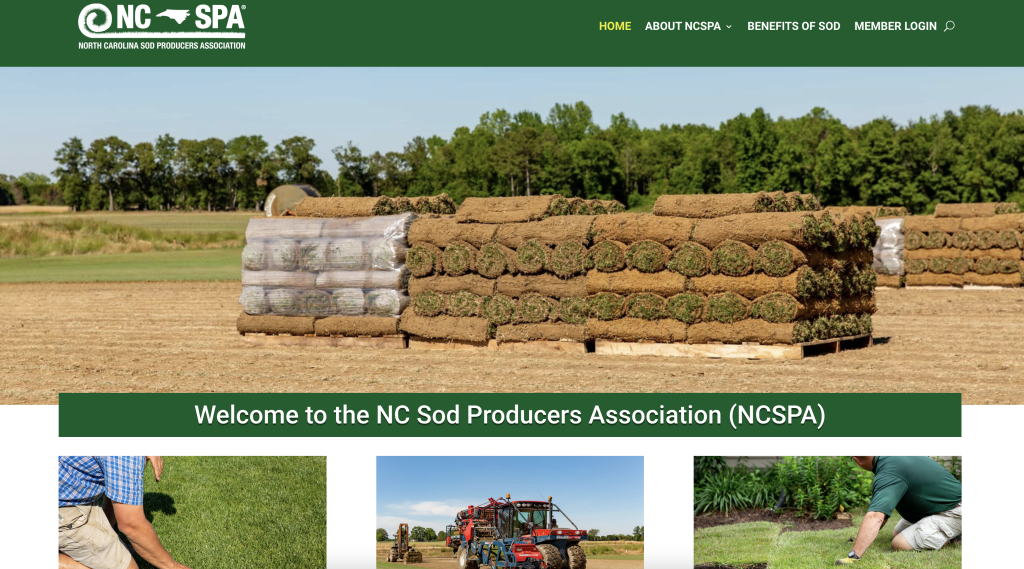 NC SPA WEBSITE